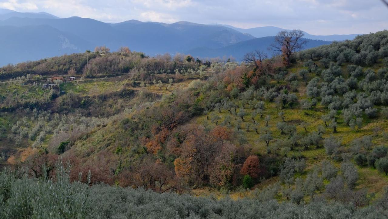 Agriturismo Il Casaletto Montefranco Екстериор снимка