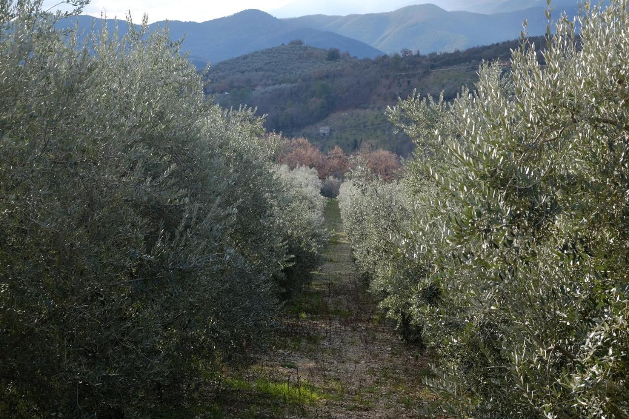 Agriturismo Il Casaletto Montefranco Екстериор снимка