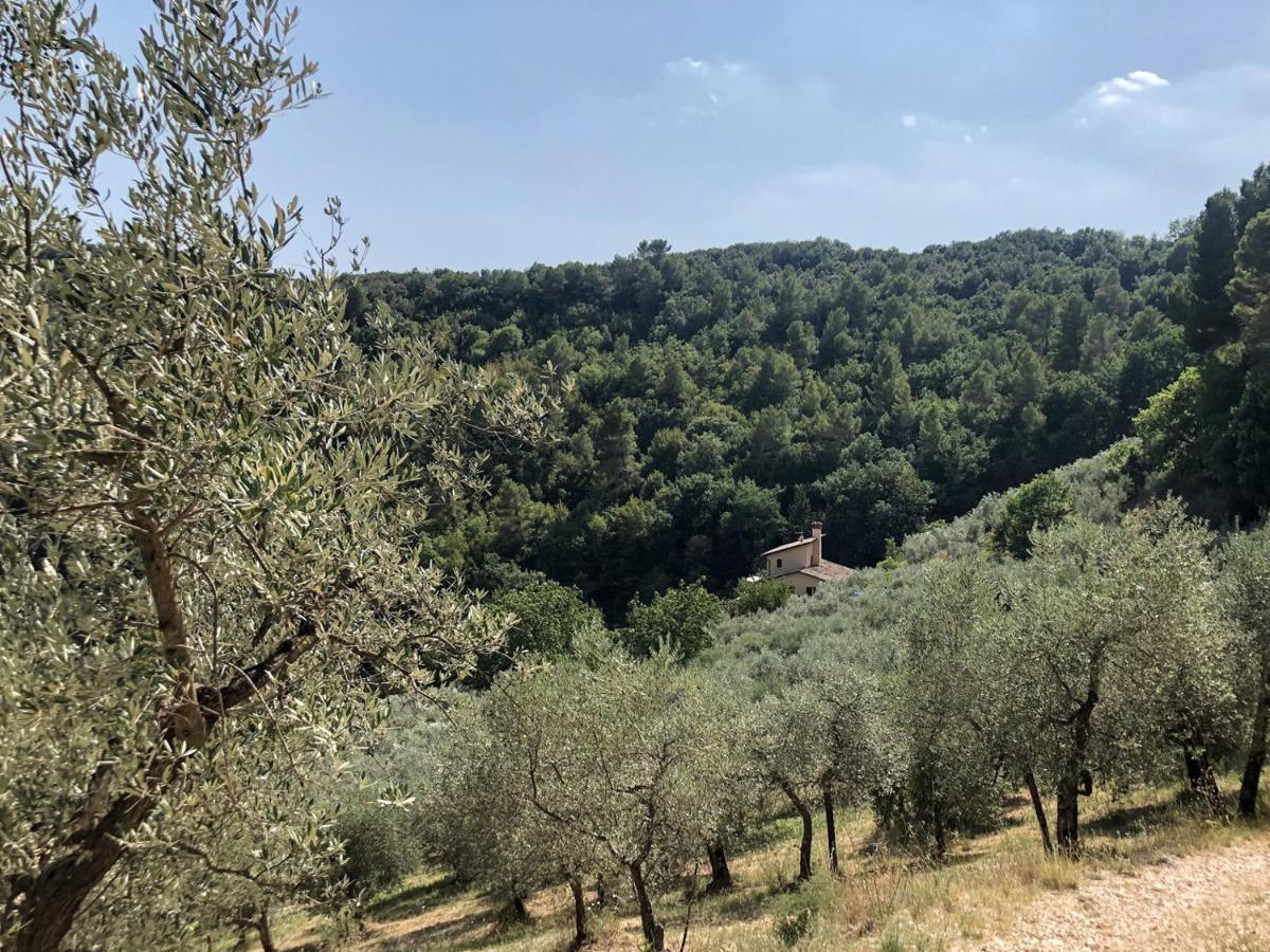 Agriturismo Il Casaletto Montefranco Екстериор снимка