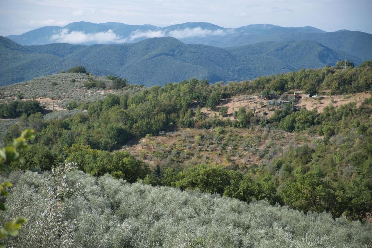 Agriturismo Il Casaletto Montefranco Екстериор снимка