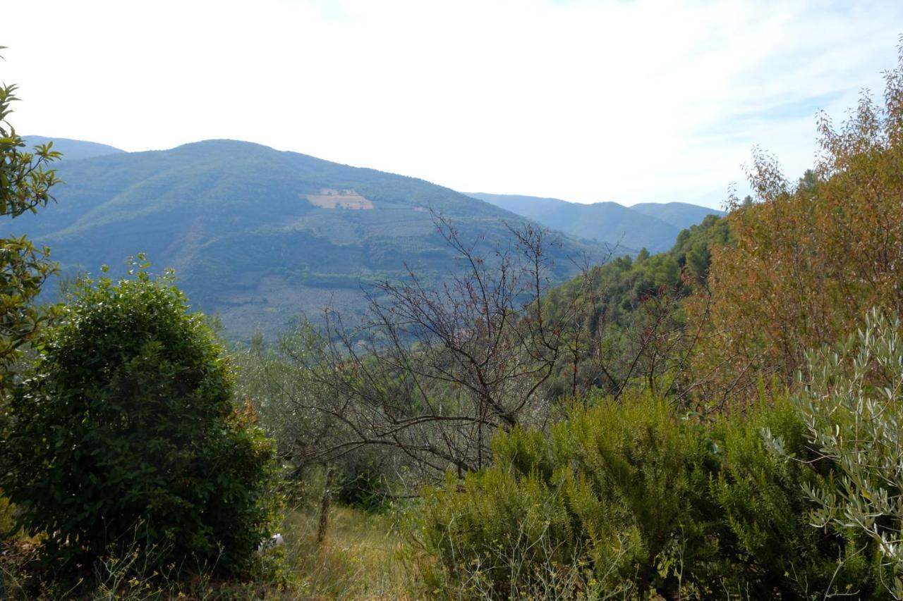 Agriturismo Il Casaletto Montefranco Екстериор снимка
